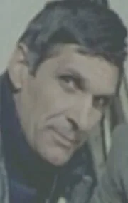 Александру Вирджил Платон