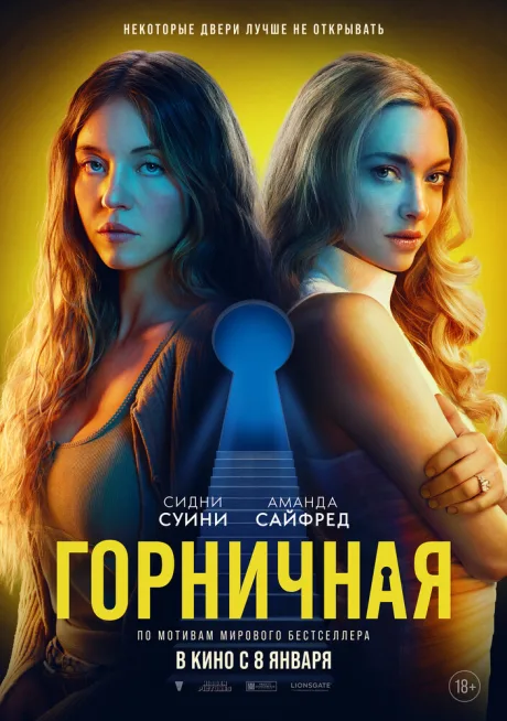 РКН Горничная (2025)