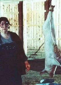 Кристи Уорд