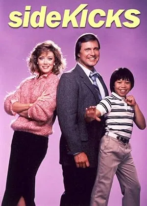 Последний электрический рыцарь (сериал 1986)
