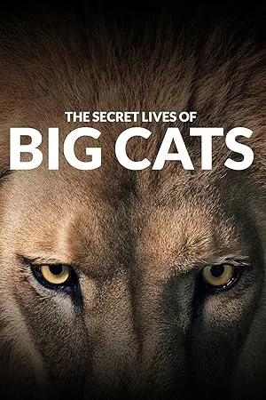 Тайная жизнь больших кошек (сериал 2020)